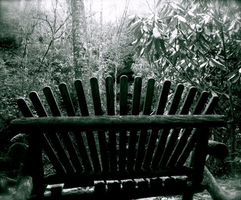 Light through the Bench Image
