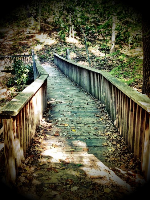 Bridge to the other side Image