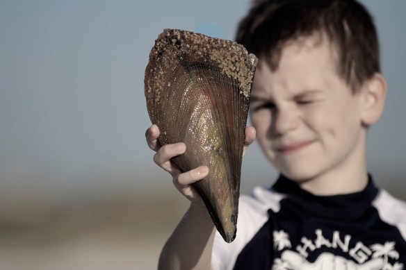 © Joy Cannis and Even A Girl Like Me, 2012