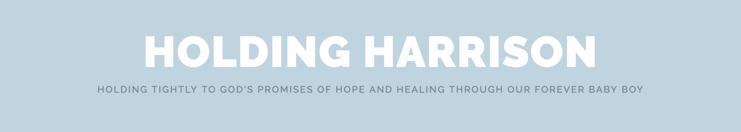 Holding Harrison ~ Samantha Brinson